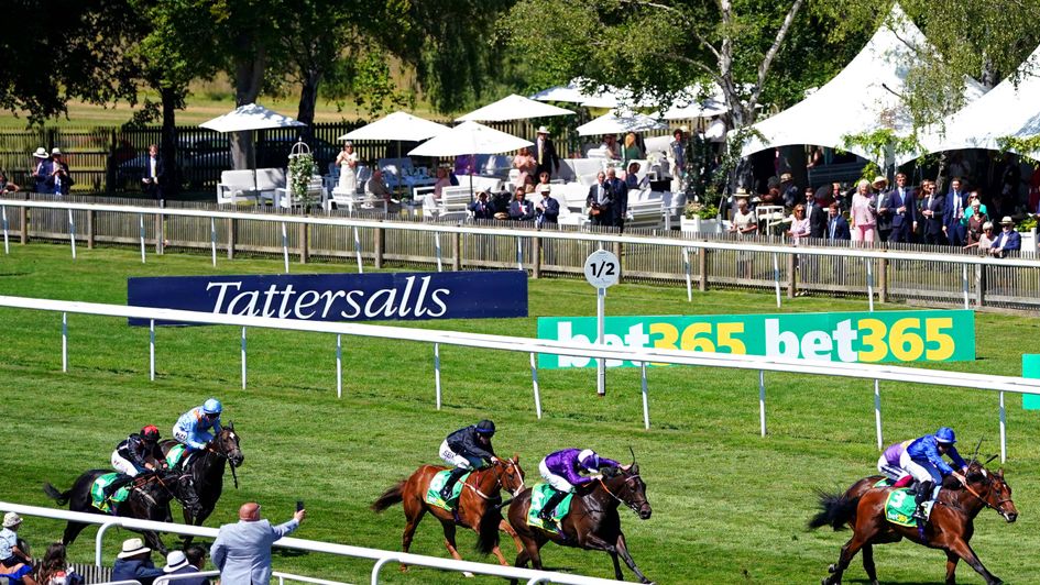 Maylandsea (second-left) trailed home last of six at Newmarket