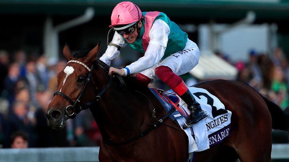 Enable wins the Breeders' Cup Turf