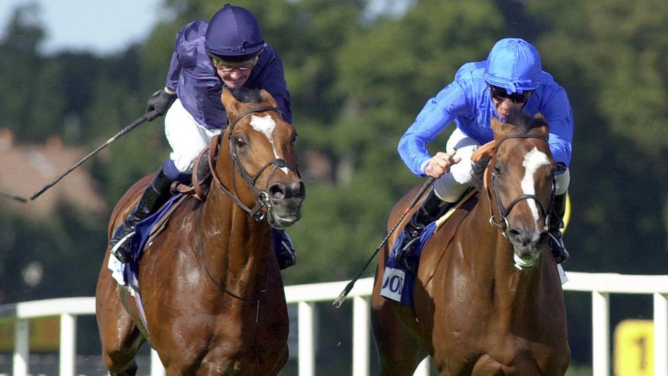 Fantastic Light (right) got the better of a thrilling battle with Galileo in the 2001 Irish Champion Stakes