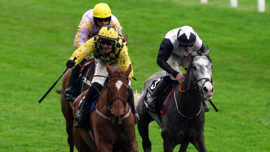 State Man beats Irish Point to win the Champion Hurdle