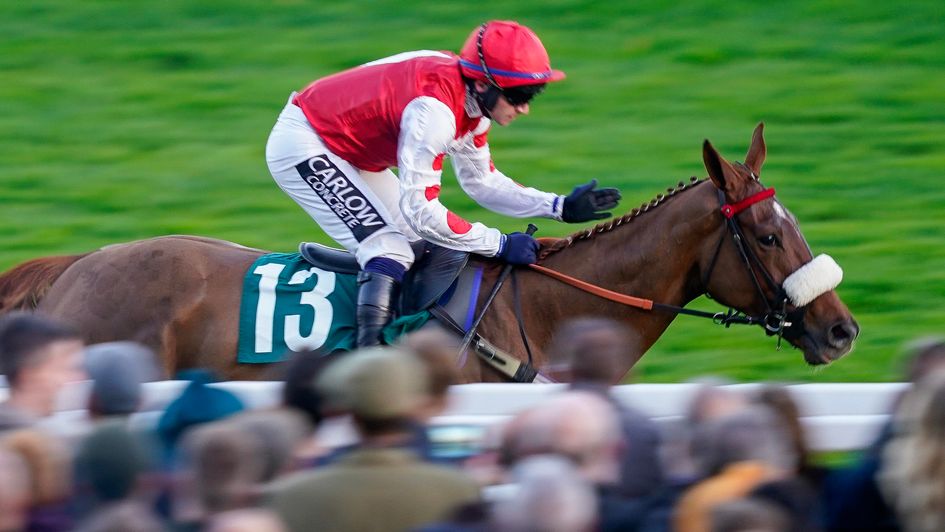 Queens Gamble impresses in the finale at Cheltenham