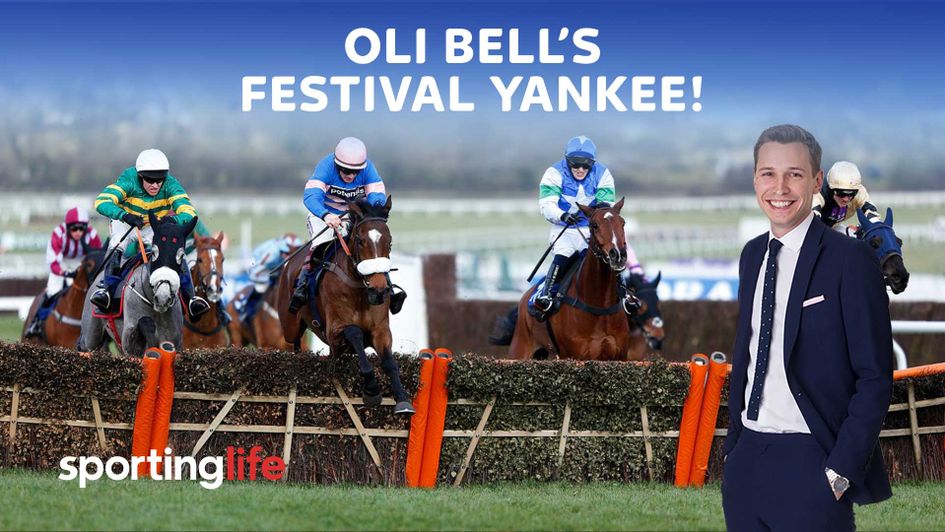 Oli Bell's Yankee for the Cheltenham Festival