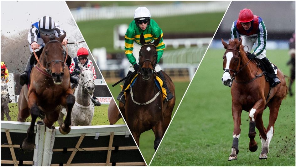 Some of our team's fancies for next year's Festival