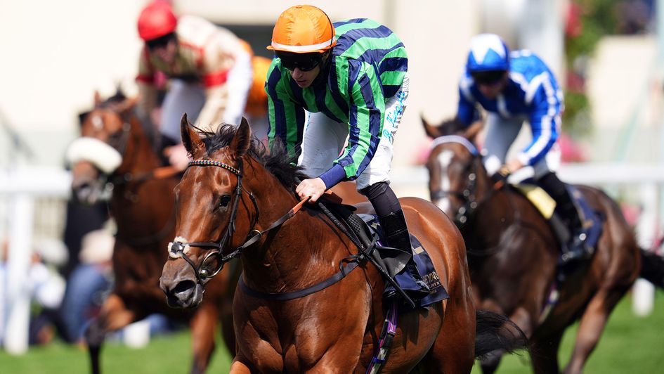 Time For Sandals defies odds of 25/1 in the Commonwealth Cup