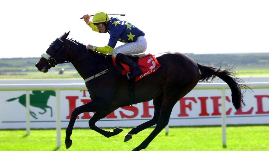 Vinnie Roe - winning the Irish St Leger