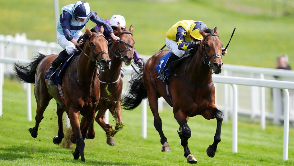 Sea Scout wins at Epsom