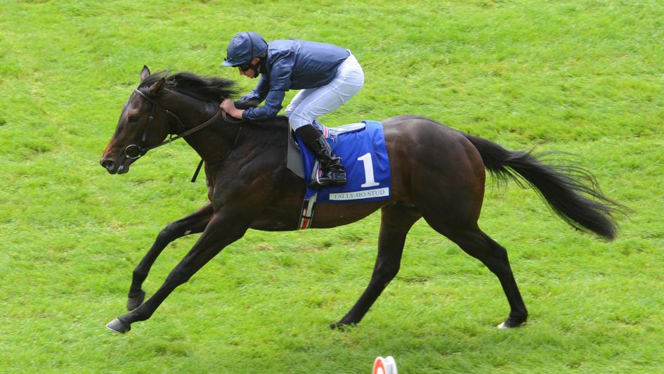 Arizona strides to victory at the Curragh