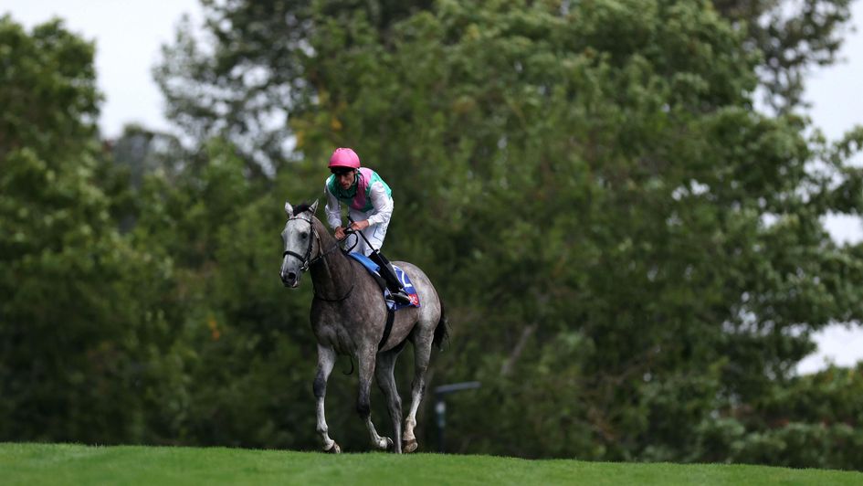 Field Of Gold after winning at Sandown