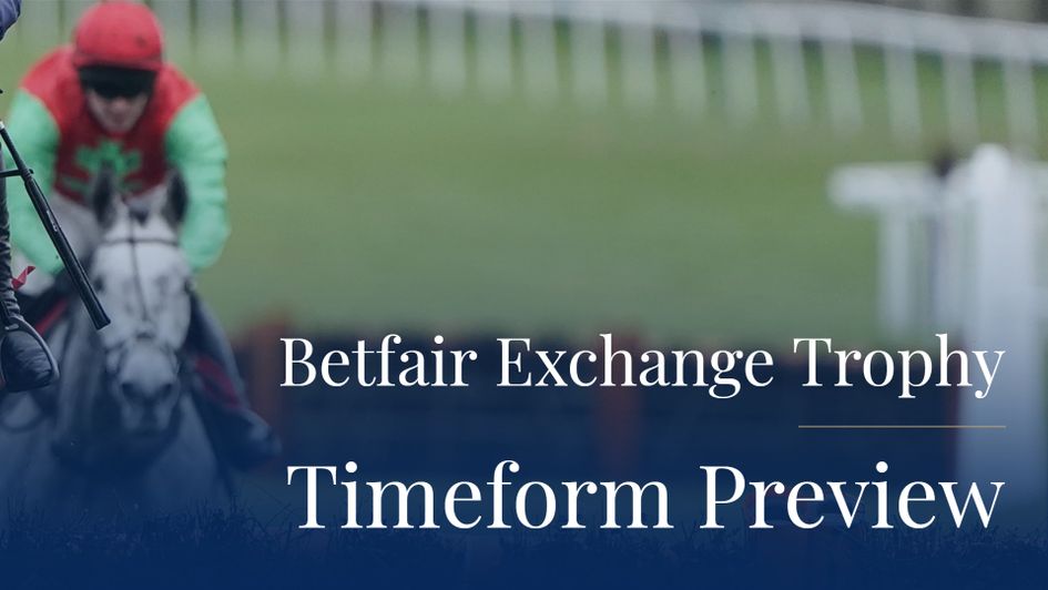 The Timeform flag horse is an interesting runner