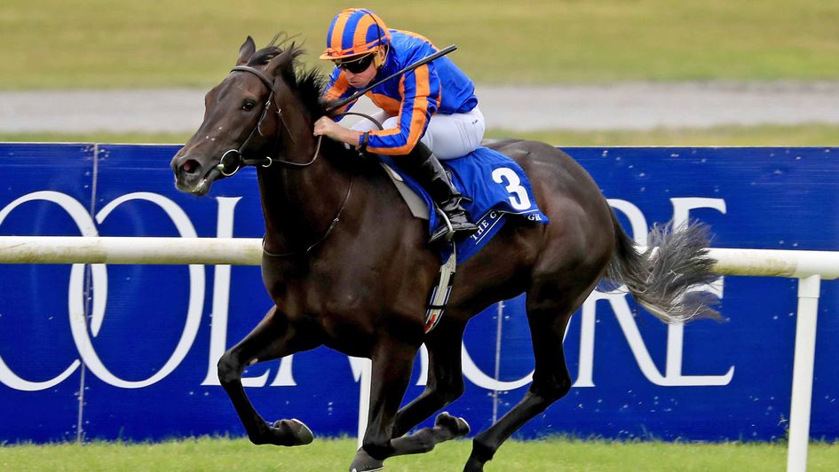 Meditate stays unbeaten at the Curragh