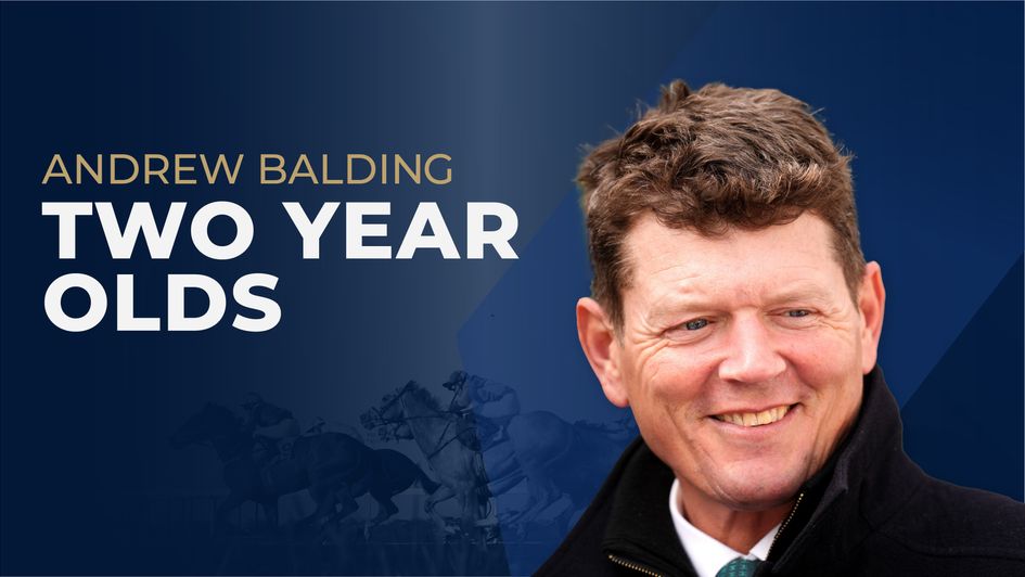 Andrew Balding Two-Year-Old Guide