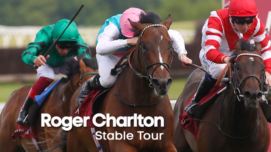 Trainer Roger Charlton has high hopes for potential superstar Headman