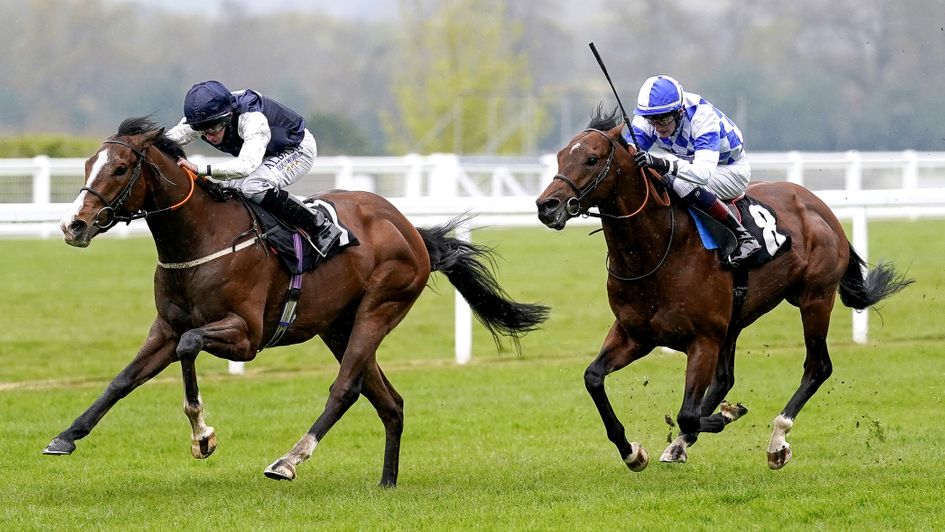 Rohaan winning the Pavlion Stakes