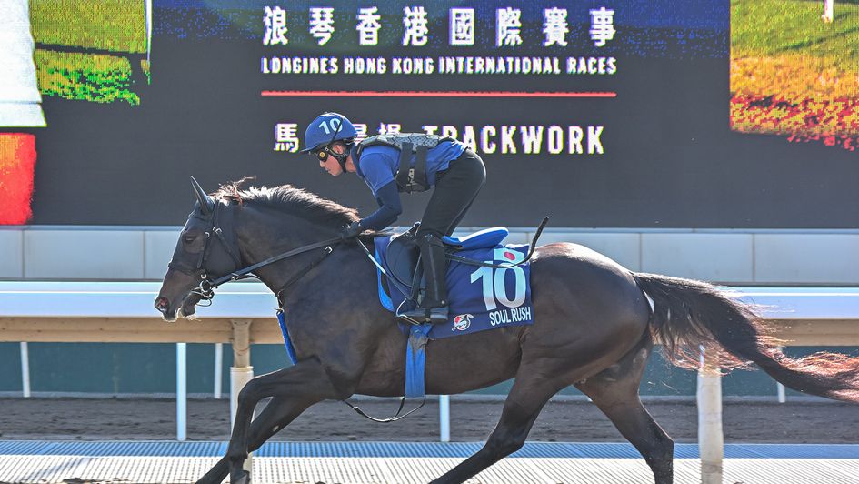 Soul Rush enjoys some track work