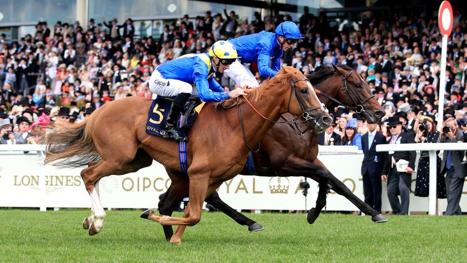 Dream Of Dreams pushes Blue Point close in the Diamond Jubilee