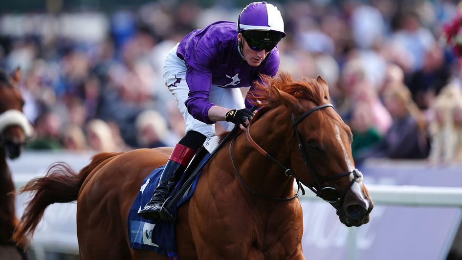 Angelo Buonarroti ridden by David Egan