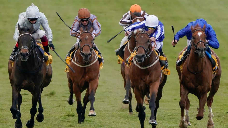 Zabeel Champion (white cap, blue and white silks)