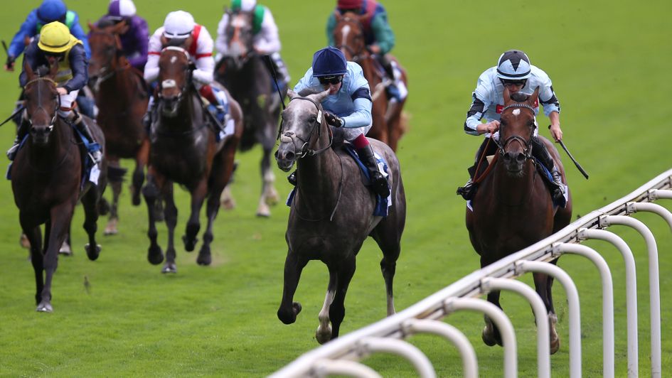 Harrow (grey) wins at 6/1 at York