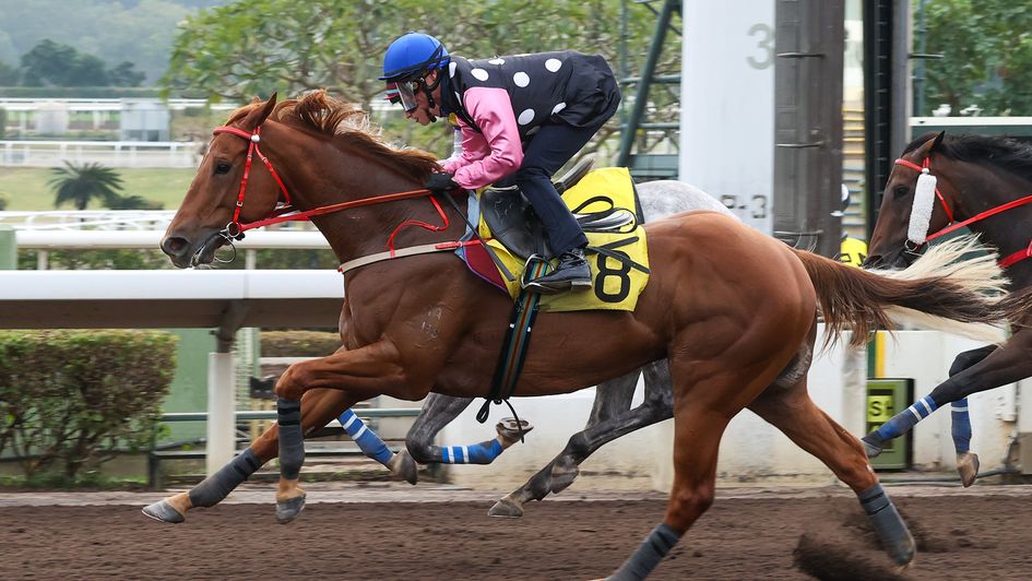 Beauty Eternal limbers up for his HKIR date with Golden Sixty
