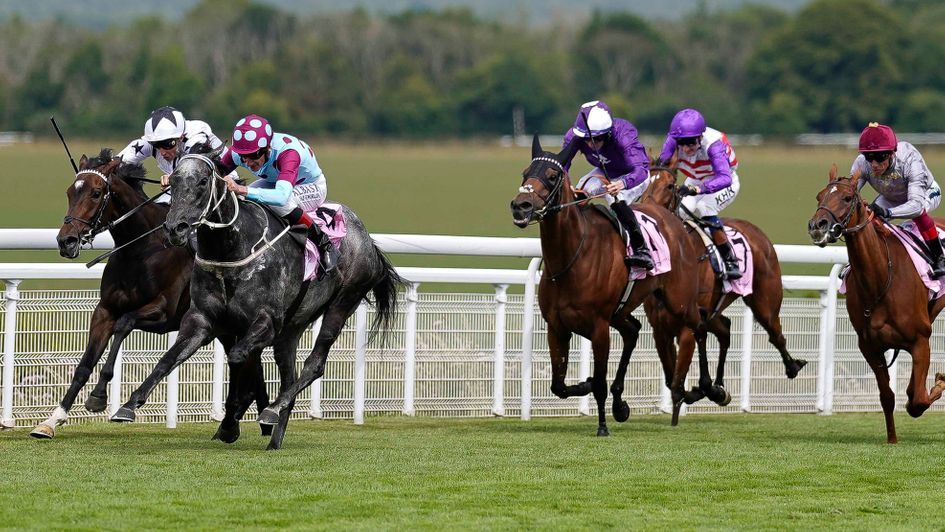 Oscula (far left) wins a Goodwood thriller