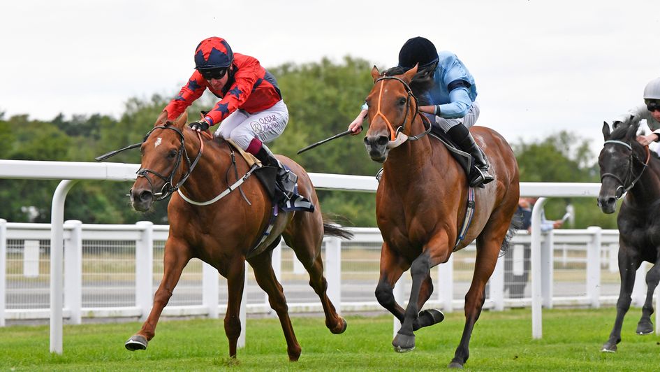 Stanford (left) winning at Windsor