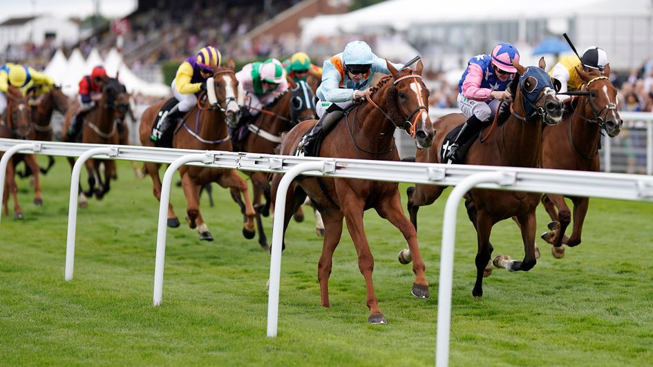 Timoshenko comes through to win at Goodwood