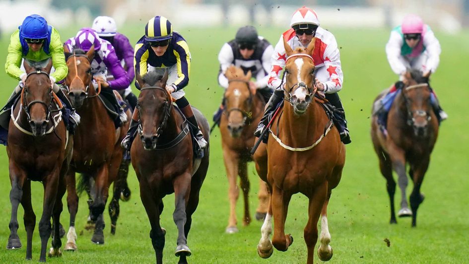 Holloway Boy wins the Chesham Stakes