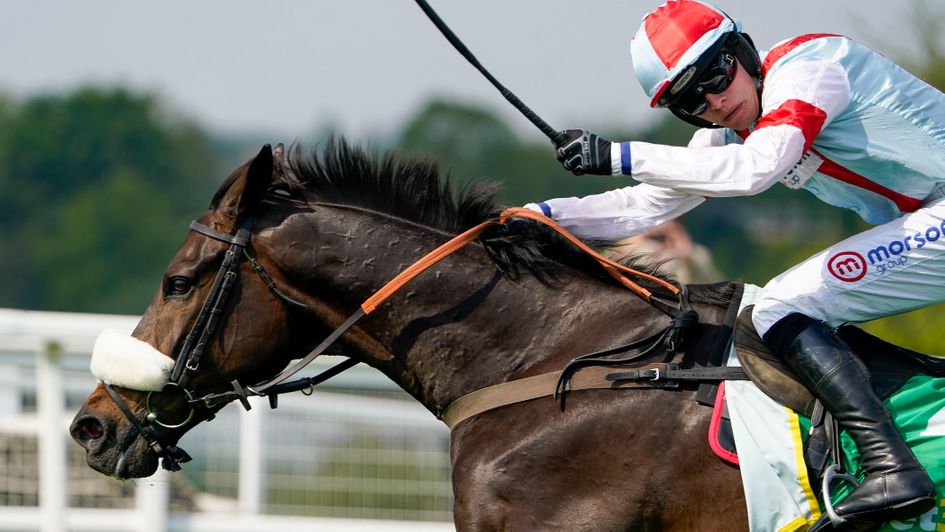 There are no dangers to Saint Calvados