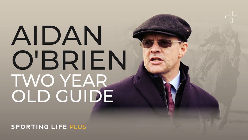 Aidan O'Brien Two-Year-Old Guide