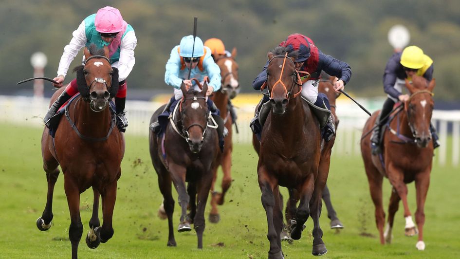 Westerland (left) and Frankie Dettori won the nursery