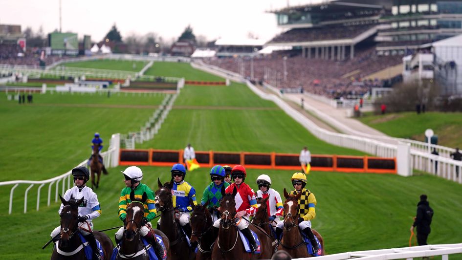 Cheltenham Festival Guide