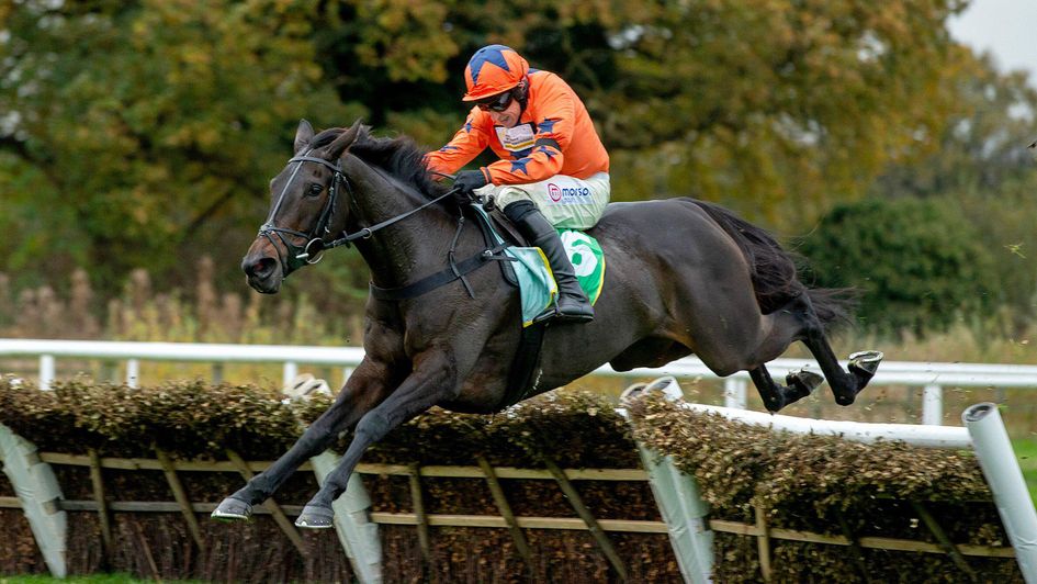 Take No Chances ridden by Harry Skelton