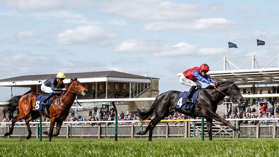 Jackstar wins at Newmarket