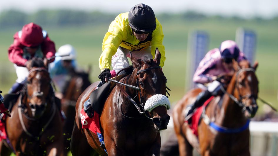 Miss Information wins at Newarket