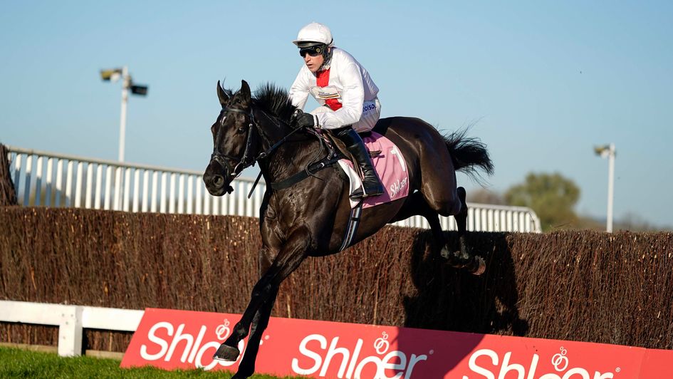 Harry Skelton and Nube Negra win in good style