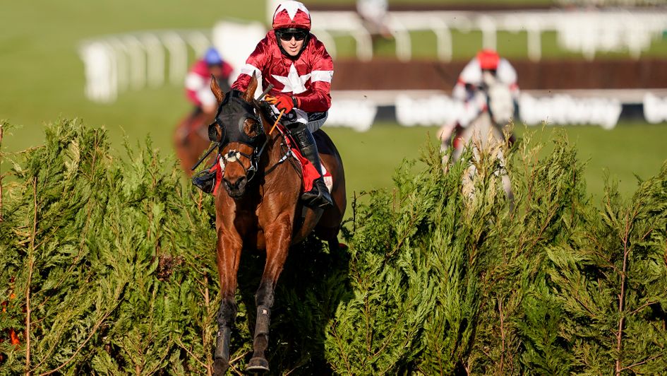 Tiger Roll: was agonisingly denied a fourth Cross Country Chase