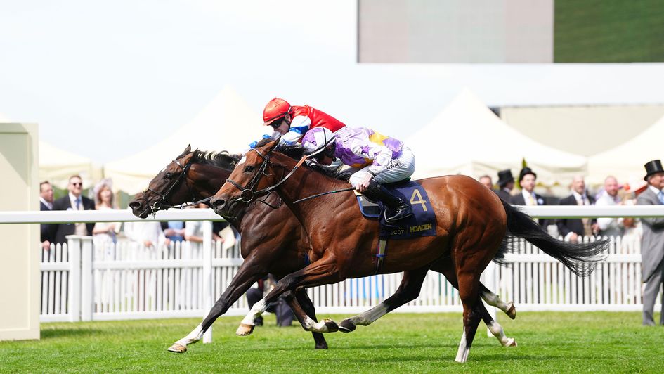 Going The Distance wins at Royal Ascot