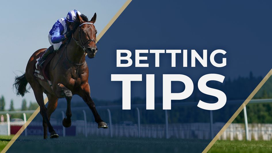 Top 3 betting tips best sites for 2023 You Can't Miss