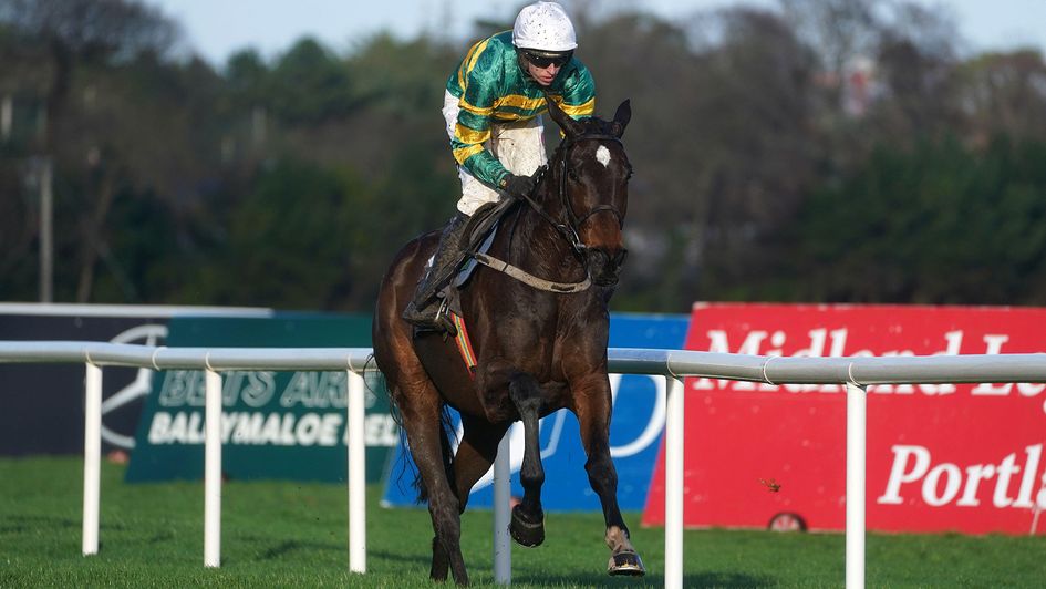 Fact To File sauntered home at Leopardstown