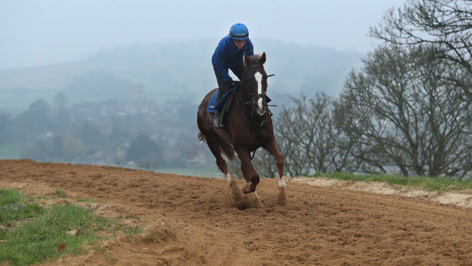 Native River on the gallops