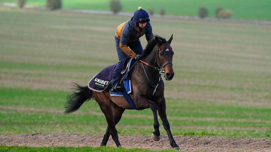 Constitution Hill in action on the gallops on Thursday morning