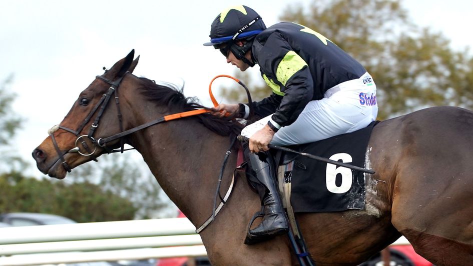 Magical Zoe - runs in the Sky Bet Ebor