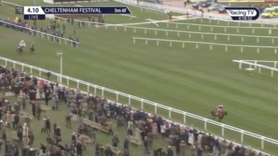 Scroll down to watch all of Tiger Roll's Cheltenham Festival victories