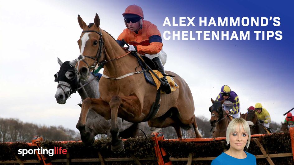 Check out all of Alex Hammond's Cheltenham tips