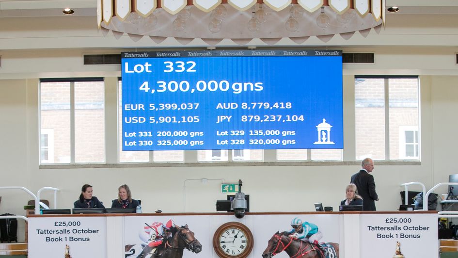 The record-breaking numbers for lot 332 (Credit: Tattersalls)