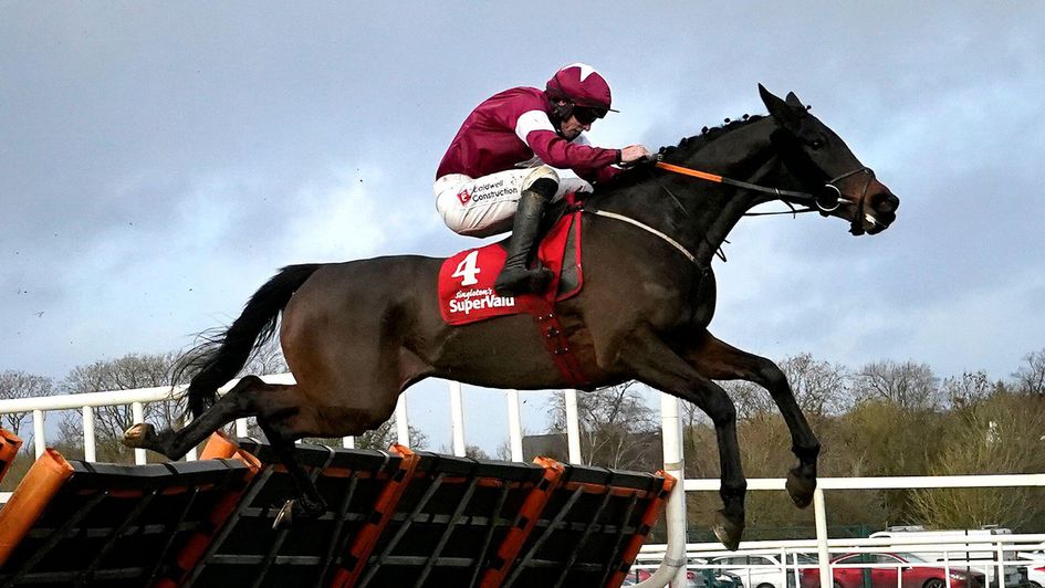 Search For Glory ridden by jockey Jack Kennedy