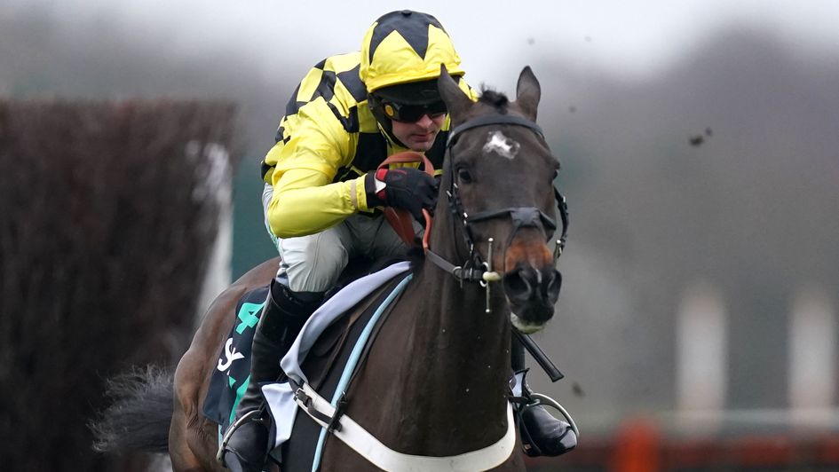 Shishkin raises the bar at Ascot