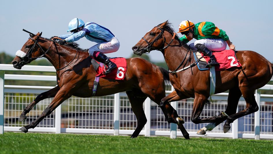 Recovery Run strikes under Oisin Murphy