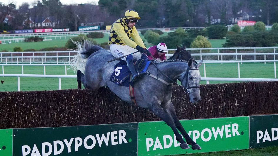 Gaillard Du Mesnil jumps the last