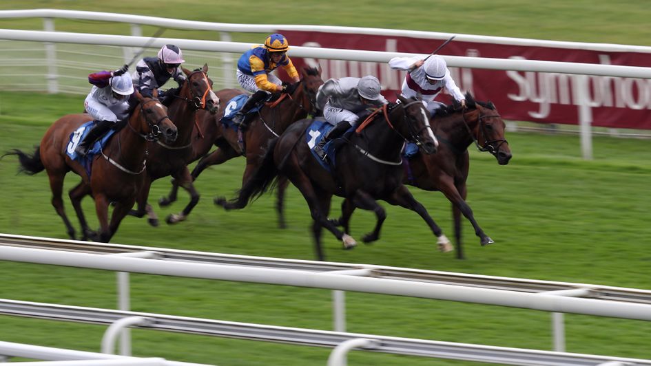 Lady In France battles to victory